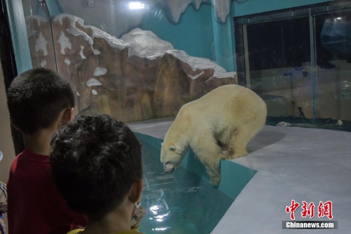 哈爾濱北極熊酒店正式開門迎客