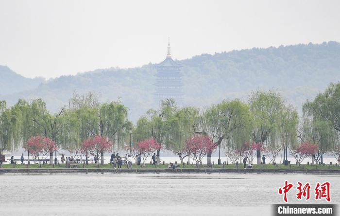 圖為杭州西湖?！⊥鮿?攝