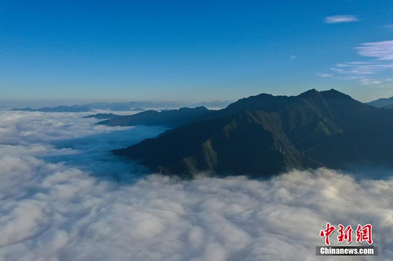 浙江景寧：壯麗云海入畫來