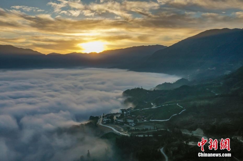 浙江景寧：壯麗云海入畫來