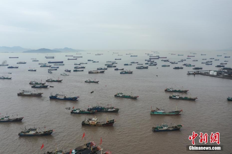 浙江舟山：漁船回港避寒潮