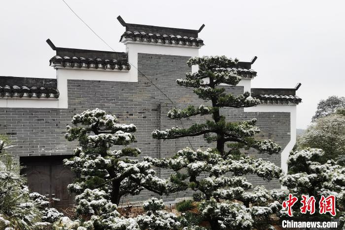 圖為：寧波奉化溪口鎮(zhèn)三十六灣村雪景在粉墻黛瓦襯托下呈現(xiàn)獨特江南景致?！≡ǔ?通訊員) 攝