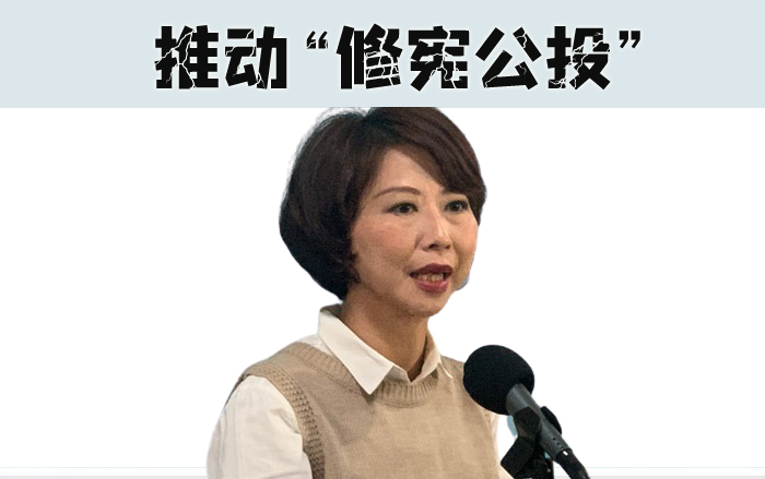 憲改公投