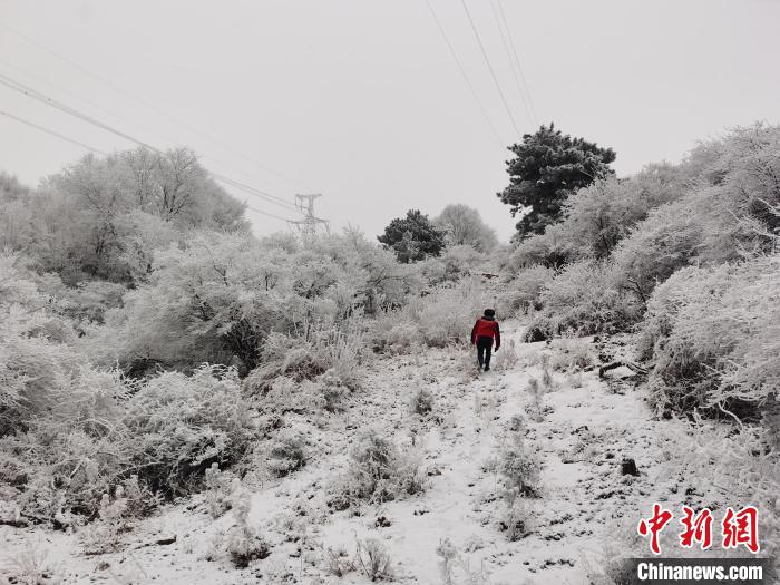 山西電力加強保障冬奧線路設(shè)備覆冰觀測