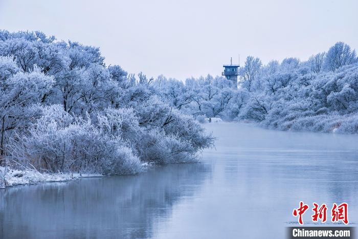 興凱湖的霧凇美景?！∷蝹鬈?攝