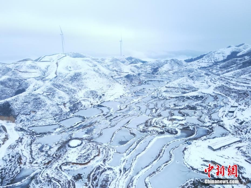 廣西摩天嶺出現(xiàn)雪嶺云海景觀