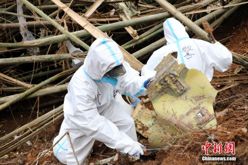 東航墜機(jī)救援現(xiàn)場：武警官兵分批次、分區(qū)域搜索