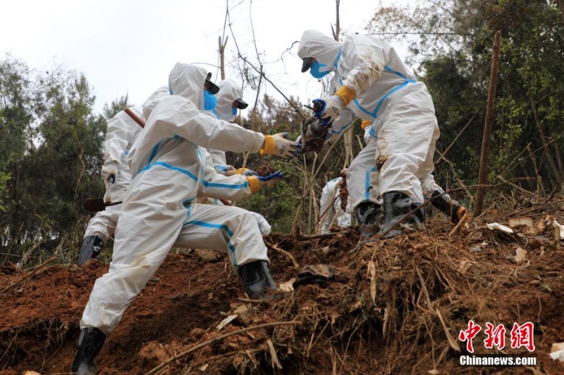 東航墜機(jī)救援現(xiàn)場：武警官兵分批次、分區(qū)域搜索