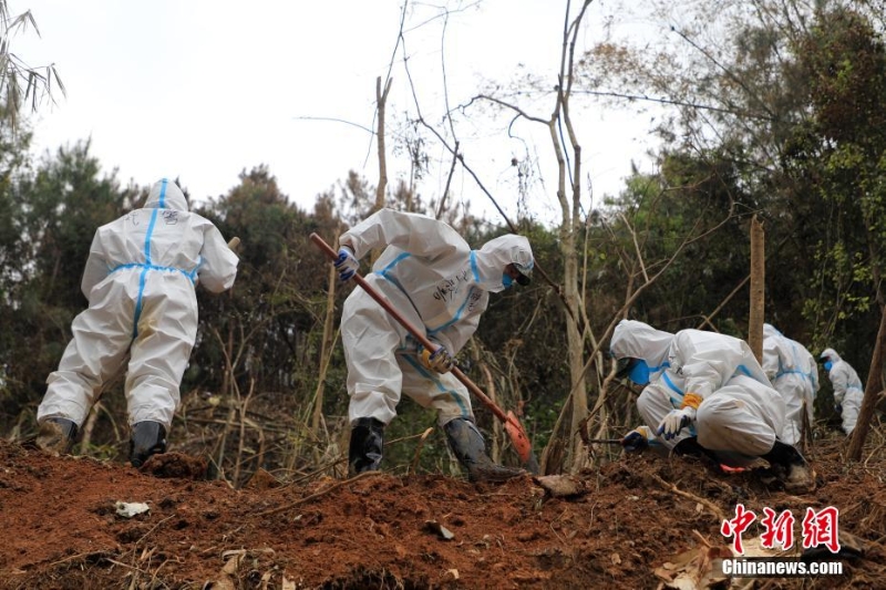 東航墜機(jī)救援現(xiàn)場：武警官兵分批次、分區(qū)域搜索