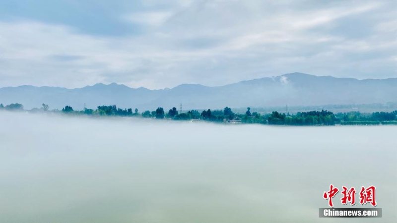 青海尖扎：薄霧、群山、綠樹(shù)勾勒黃河夏日?qǐng)D景