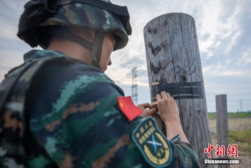 40℃高溫 武警上海總隊“三實”訓(xùn)練戰(zhàn)味十足