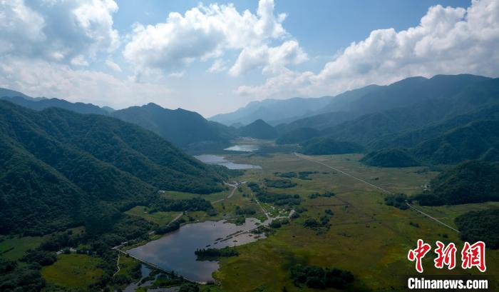 航拍神農(nóng)架大九湖高山濕地風(fēng)光