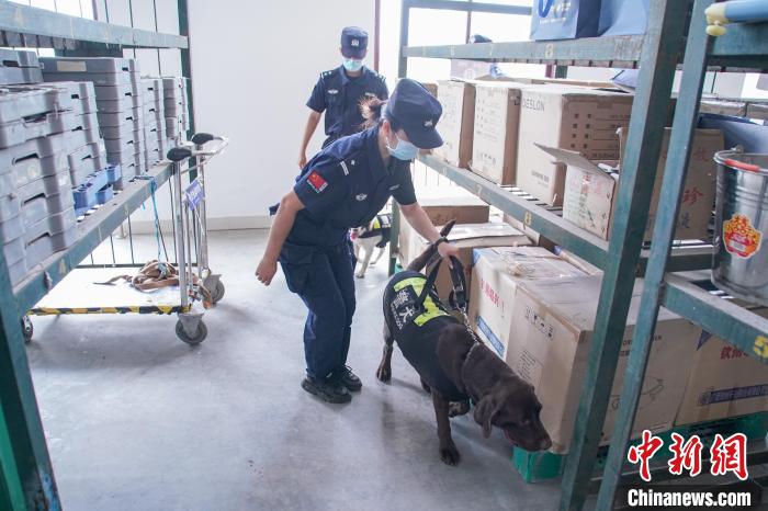 圖為黃曉莉和唐琥犀帶著警犬在南寧東站行包房對(duì)快遞箱包進(jìn)行“二次安檢”。　陳冠言 攝