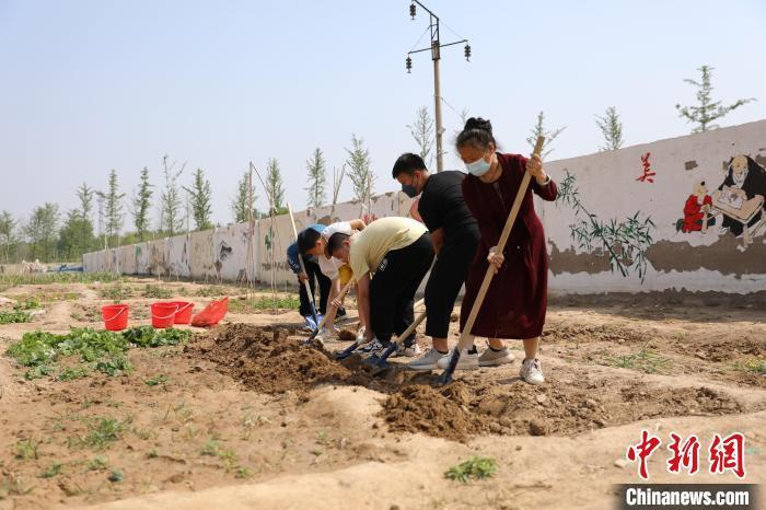 資料圖：河北衡水利民路小學(xué)創(chuàng)設(shè)的“耕讀苑”勞動基地，各班學(xué)生自己設(shè)計班牌，查資料，選擇農(nóng)作物種子。金莉莉 攝