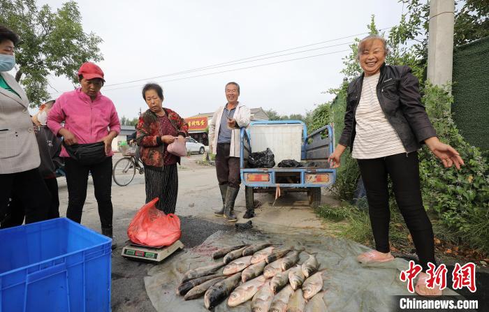 新鮮魚獲上市。　陳康 攝