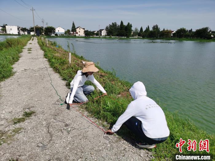 高校師生普查浙江24個(gè)縣市區(qū)發(fā)現(xiàn)165種外來入侵植物