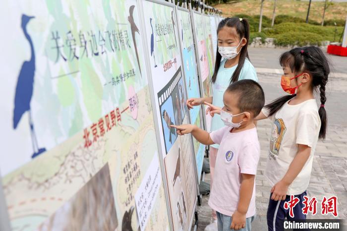 圖為小朋友們了解鳥類知識(shí)?！”本┦袌@林綠化局供圖