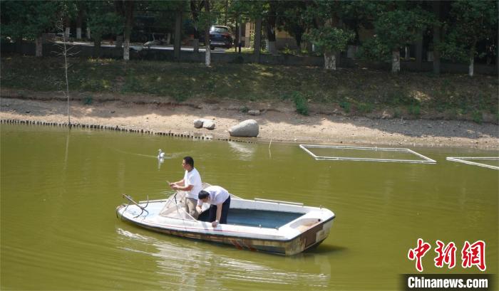 鄱陽(yáng)湖保護(hù)區(qū)和湖北秀湖植物園工程師對(duì)擬選基地的水源水質(zhì)狀況進(jìn)行勘察?！≯蛾?yáng)湖保護(hù)區(qū) 供圖