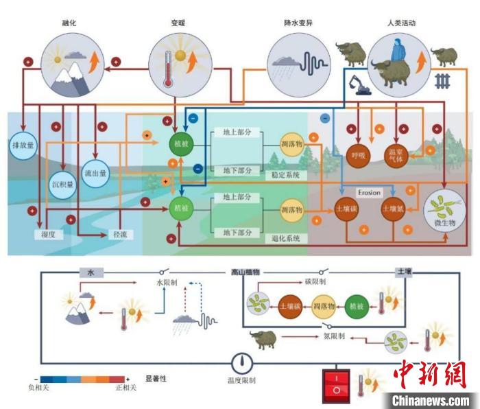 中國(guó)科研人員揭示青藏高原上的碳氮循環(huán)變化及驅(qū)動(dòng)機(jī)制