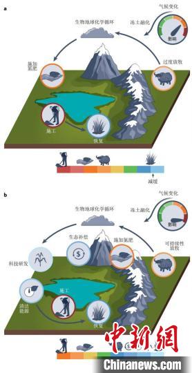 積極的恢復(fù)和碳減排措施有助于實(shí)現(xiàn)可持續(xù)發(fā)展的碳匯功能?！≈锌圃撼啥忌镅芯克﹫D