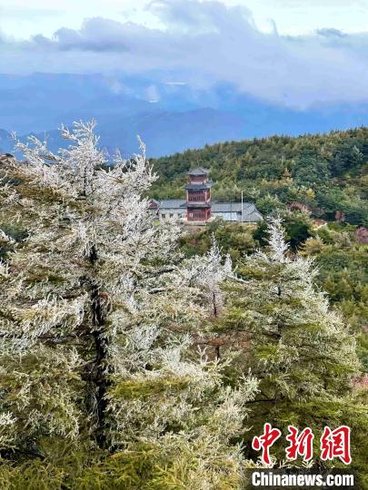 10月4日，泰山之巔現(xiàn)霧凇奇觀，冰雕玉砌、晶瑩閃爍的霧凇綴滿枝頭，一樹樹、一叢叢，甚是好看?！±捉?攝