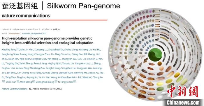 圖為家蠶生命周期各階段豐富的表型多樣性?！〖倚Q基因組生物學(xué)國家重點實驗室供圖