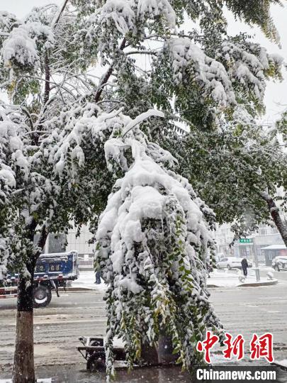 吉林遭遇強(qiáng)降水雨雪交加延緩秋收進(jìn)程