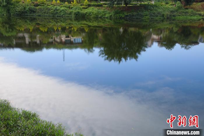 重慶兩江新區(qū)的肖家溝水庫是嘉陵江水系跳墩河的源頭，如今已打造成魚翔淺底的生態(tài)之湖?！×簹J卿 攝