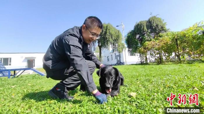 “傳奇警犬”暮年猶勇：退休前站好最后一班崗