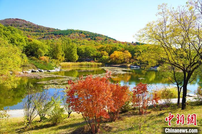 圖為國家植物園(北園)北湖。　北京市公園管理中心供圖