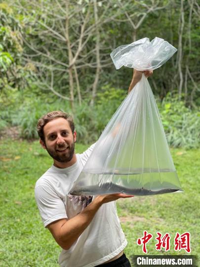 論文第一作者手拿一只美洲肺魚，他剛在巴西的亞馬遜研究所進(jìn)行完錄音(圖源：Basil Minder)?！∈┢樟指瘛ぷ匀?供圖