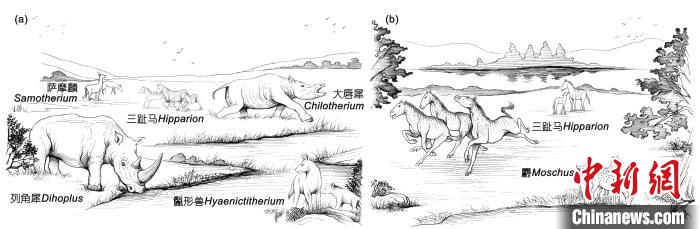 晚中新世華北地區(qū)三趾馬動物群生態(tài)復原：(a) 華北西部； (b) 華北東部?！≈锌圃汗偶棺邓?供圖