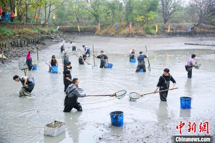 游客在魚塘里摸魚 西溪濕地 供圖