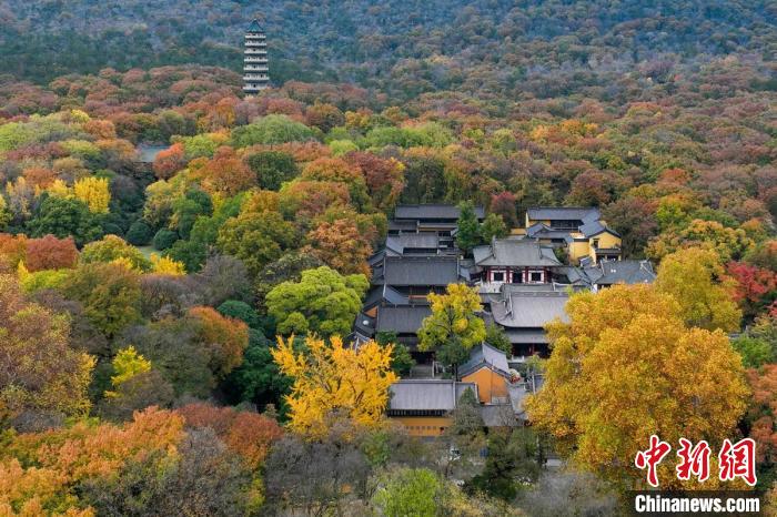 鐘山風(fēng)景區(qū)靈谷寺掩映在樹(shù)木中?！°蟛?攝