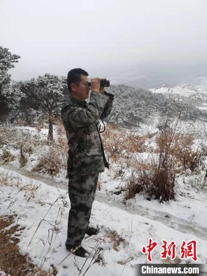 資料圖：大雪封山，護林員堅持巡查，避免積雪壓折樹木 泰安市委宣傳部供圖