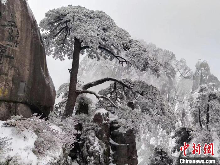 安徽黃山持續(xù)降雪五百里銀裝素裹