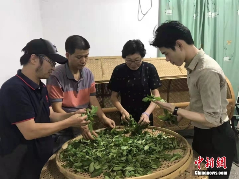 資料圖為臺(tái)灣制茶師左如玉（右二）在福建漳平教學(xué)生制茶。 <a target='_blank' href='/'>中新社</a>發(fā) 受訪者供圖