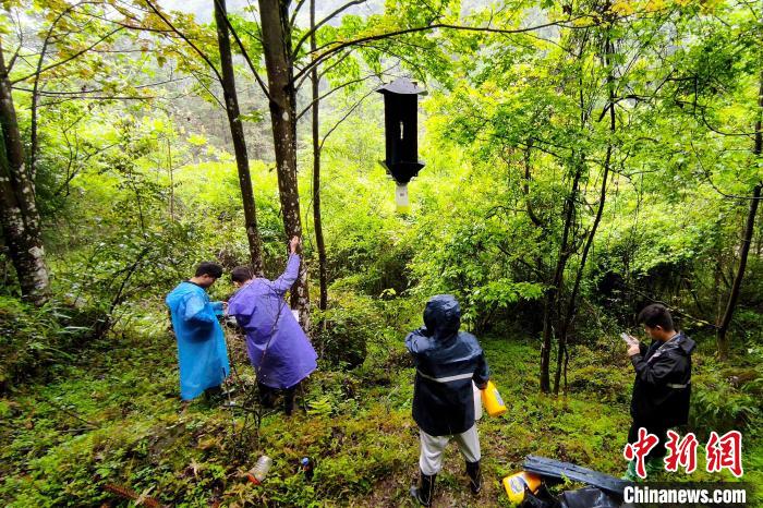 “千園之城”貴陽生物多樣性維持在較高水平