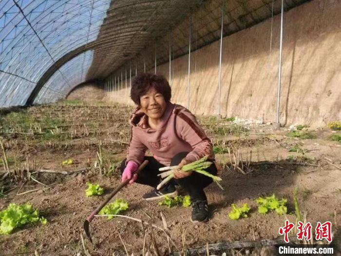 圖為內(nèi)蒙古赤峰市林西縣農(nóng)民在大棚里干活(資料圖)?！￡悤栽?攝