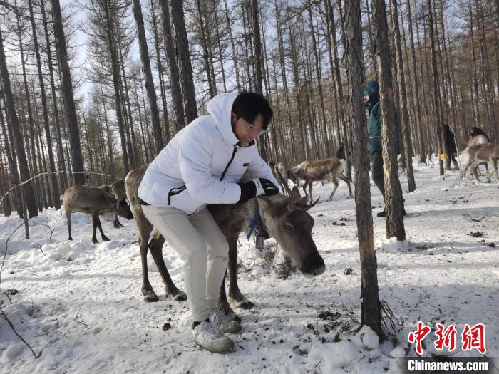 圖為與馴鹿合影的臺(tái)灣青年們。　李愛(ài)平 攝