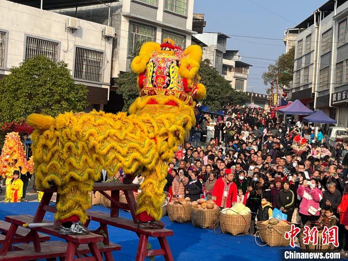 湘粵桂數(shù)萬瑤胞“趕鳥”話豐收?！〗揽h委宣傳部供圖