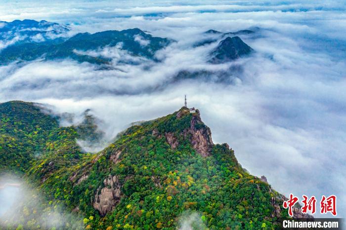 廣東象頭山國(guó)家級(jí)自然保護(hù)區(qū) 廣東省林業(yè)局 供圖