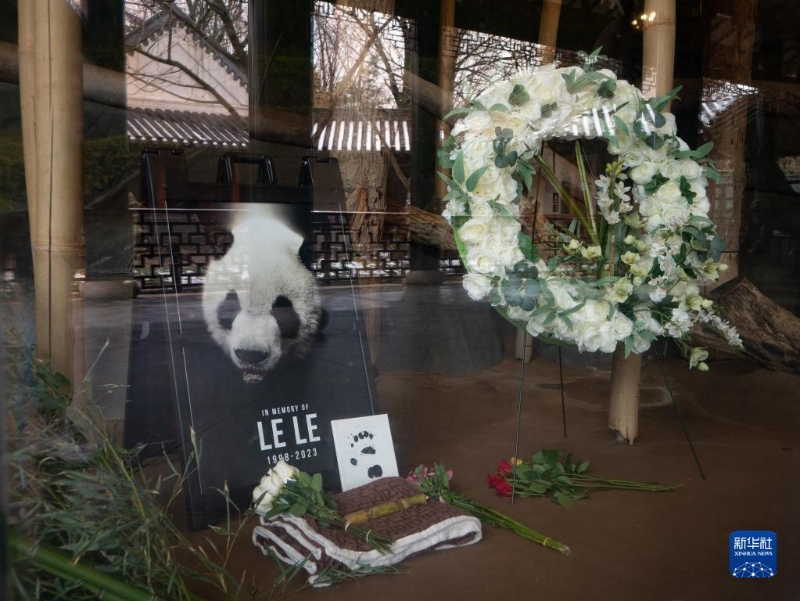 2月4日，美國(guó)田納西州孟菲斯動(dòng)物園擺放了紀(jì)念大熊貓“樂(lè)樂(lè)”的照片和鮮花。（圖源：新華社）