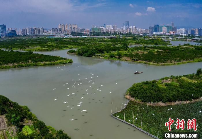 溫州生態(tài)園三垟濕地入選首批“浙江省觀鳥勝地”