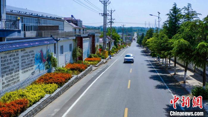 資料圖：圖為臨沂市蘭山區(qū)半程鎮(zhèn)美麗的戶戶通道路。(無人機照片) 孫磊 攝