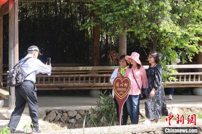 幾位臺(tái)胞在兩岸同心樹(shù)下合影，共植之樹(shù)今已亭亭如蓋?！《做?攝