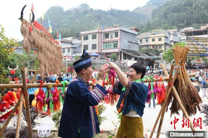 圖為游客體驗(yàn)壯族敬牛節(jié)特色文化項(xiàng)目?！×趾?攝