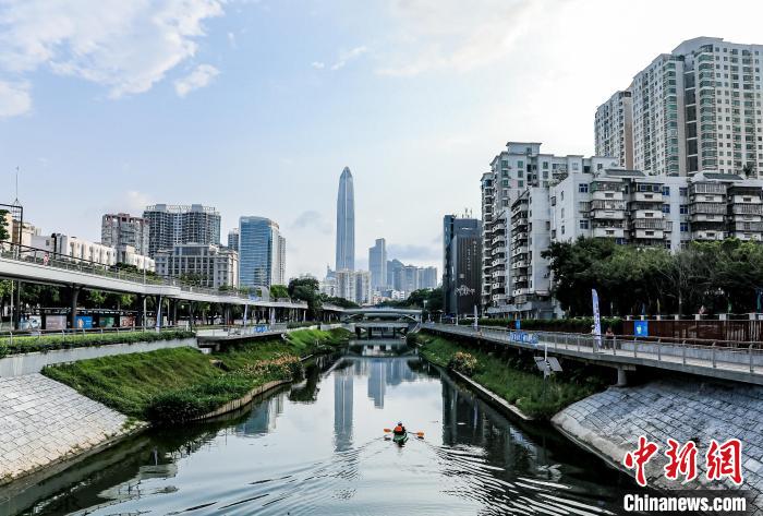 比賽在水清岸綠、河暢景美的新洲河舉行 深圳福田區(qū)委宣傳部 供圖