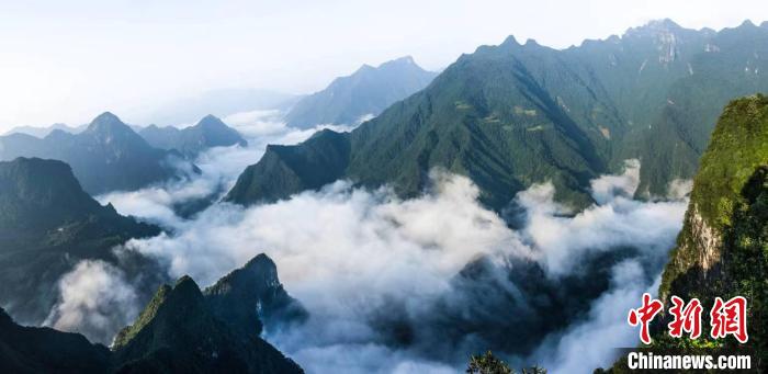 后河國家級自然保護區(qū)地處湖北武陵山區(qū)(資料圖) 后河保護區(qū)管理局 供圖