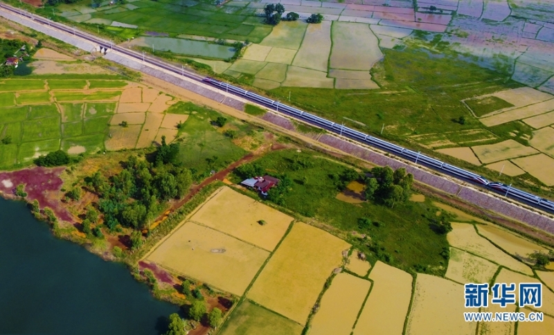 “瀾滄號(hào)”動(dòng)車組列車運(yùn)行在老撾境內(nèi)。新華網(wǎng)發(fā)（楊永全 攝）